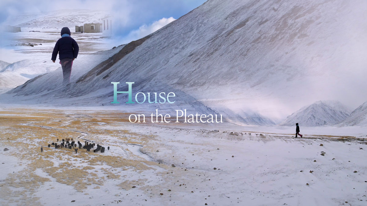 House on the Plateau
